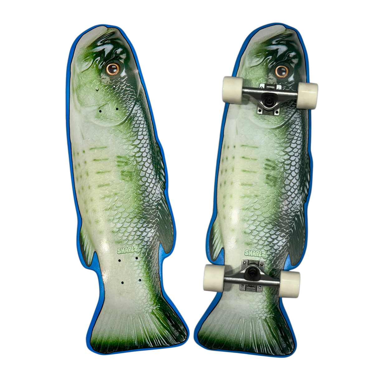 Fish