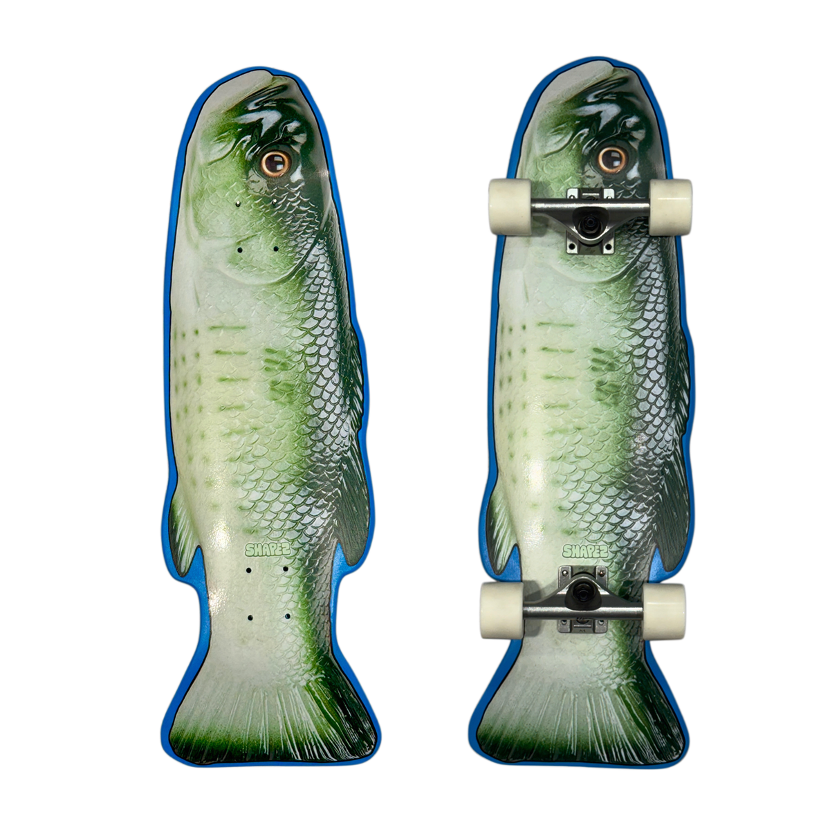 Fish