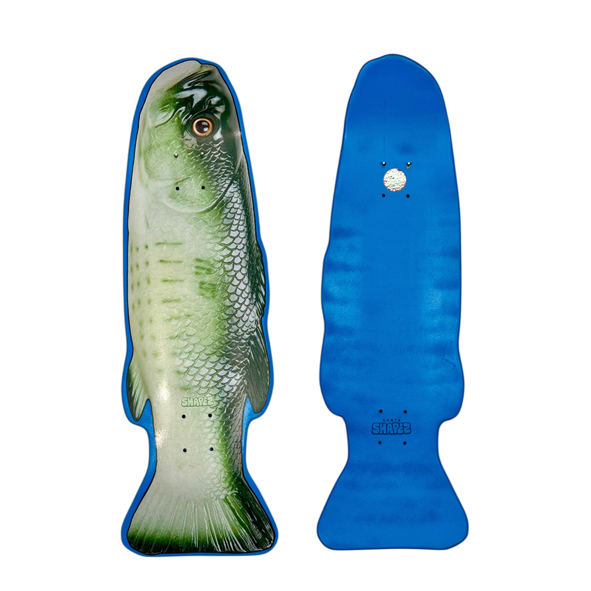 Fish