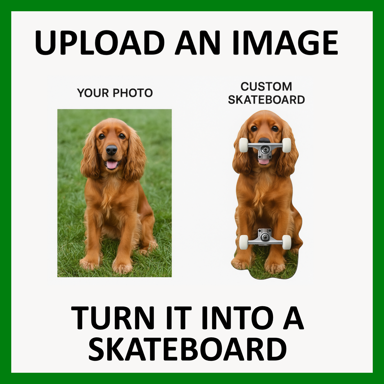 Create your own Skate Shape