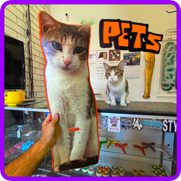 Create your own Skate Shape